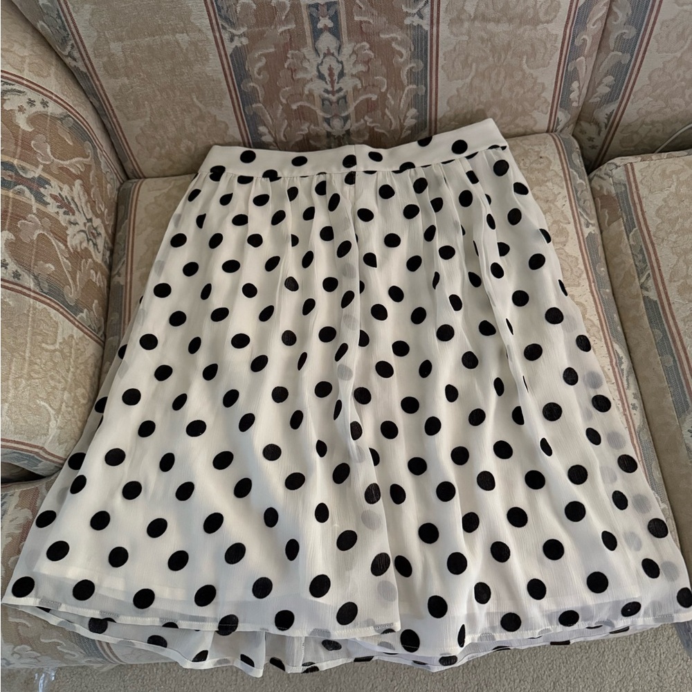 J.Crew Polka Dot Skirt